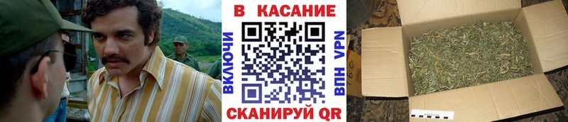 Где продают наркотики Киров Галлюциногенные грибы  Гашиш 
